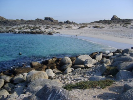 Isla Damas, Región de Coquimbo