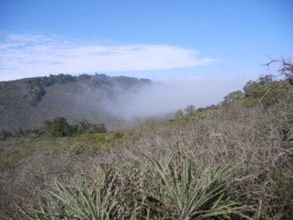 Parque Nacional Fray Jorge, Región de Coquimbo