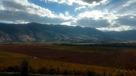 Valle de Colchagua