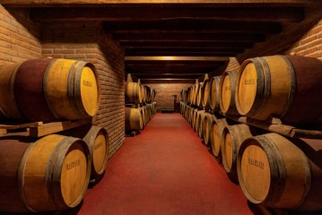 Viña Balduzzi: más de 300 años de tradición vitivinícola italiana